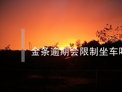 金条逾期会限制坐车吗 金条逾期会限制坐车吗