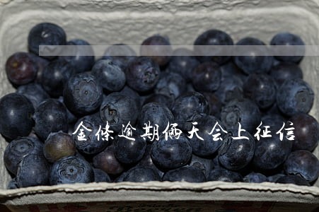 金条逾期俩天会上征信 金条逾期俩天会上征信