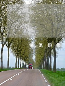 金条逾期借不了怎么办 金条逾期借不了怎么办