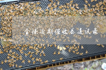金条逾期催收暴通讯录 金条逾期催收暴通讯录