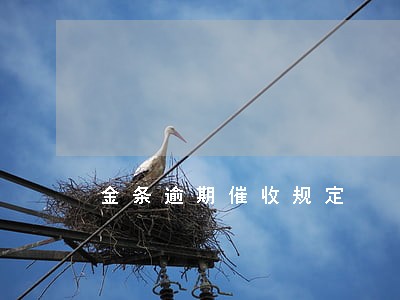 金条逾期催收规定 金条逾期催收规定
