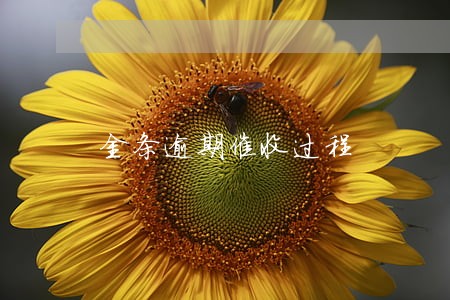 金条逾期催收过程 金条逾期催收过程