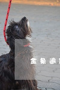金条逾期全部归还