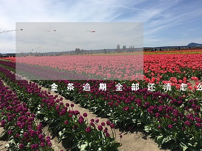 金条逾期全部还清怎么再申请 金条逾期全部还清怎么再申请