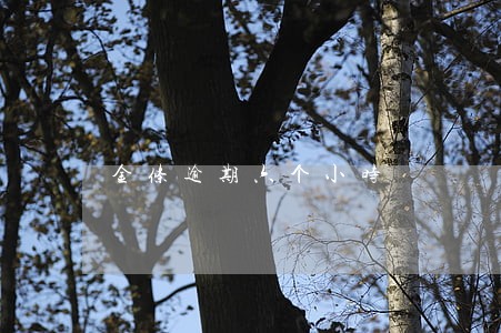 金条逾期六个小时 金条逾期六个小时