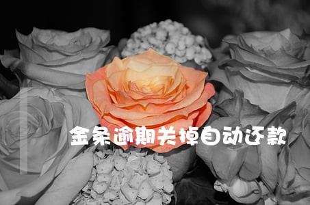 金条逾期关掉自动还款 金条逾期关掉自动还款