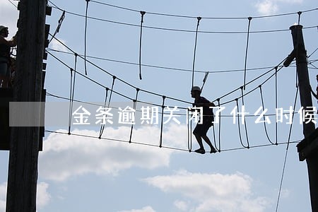 金条逾期关闭了什么时候能在开 金条逾期关闭了什么时候能在开