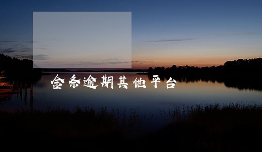 金条逾期其他平台 金条逾期其他平台