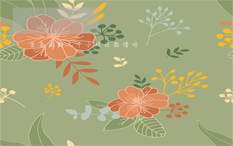 金条逾期几个小时还能借吗 金条逾期几个小时还能借吗