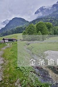 金条逾期几个月上征信 金条逾期几个月上征信