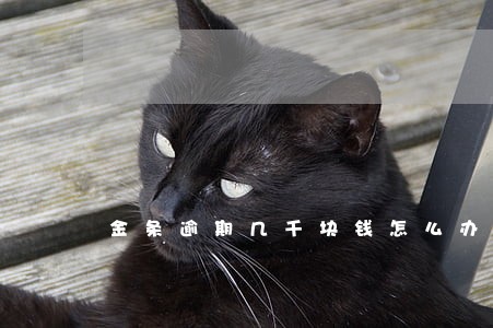 金条逾期几千块钱怎么办 金条逾期几千块钱怎么办