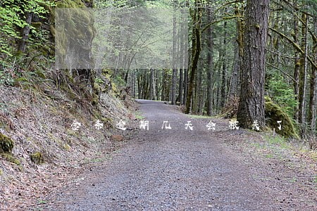 金条逾期几天会被关了 金条逾期几天会被关了