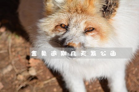 金条逾期几天发公函 金条逾期几天发公函