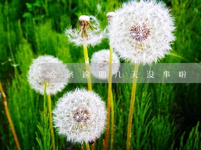 金条逾期几天没事啦 金条逾期几天没事啦