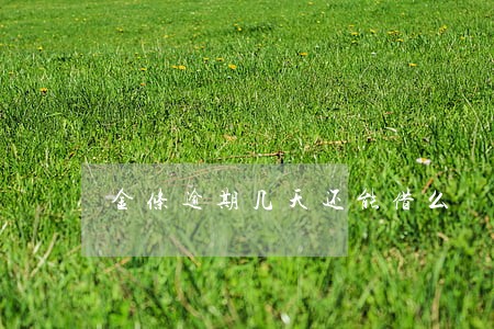 金条逾期几天还能借么 金条逾期几天还能借么