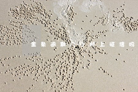 金条逾期几小时上征信吗 金条逾期几小时上征信吗