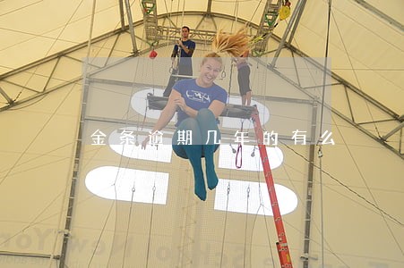 金条逾期几年的有么