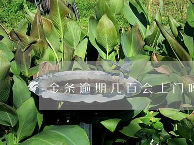 金条逾期几百会上门吗 金条逾期几百会上门吗