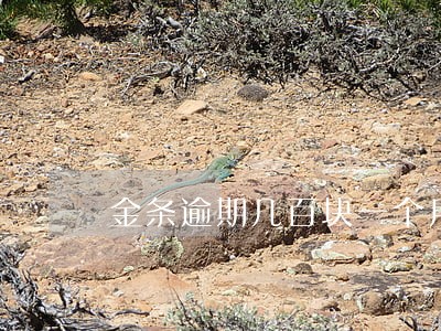 金条逾期几百块一个月 金条逾期几百块一个月