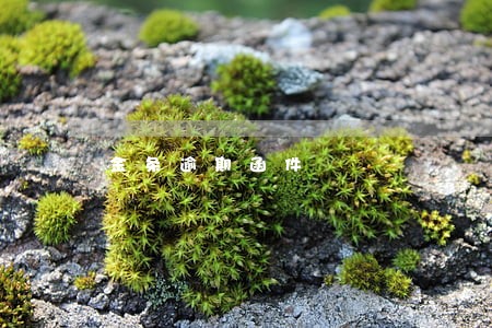 金条逾期函件 金条逾期函件