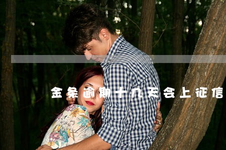 金条逾期十几天会上征信吗 金条逾期十几天会上征信吗
