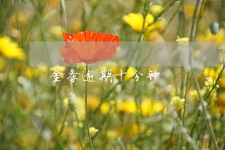 金条逾期十分钟 金条逾期十分钟