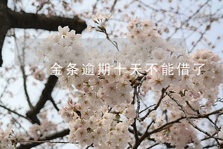 金条逾期十天不能借了 金条逾期十天不能借了