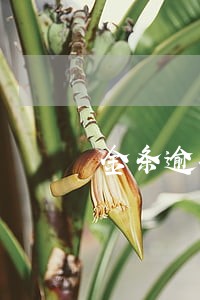 金条逾期十天会上征信吗
