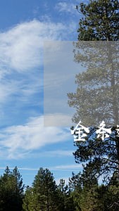 金条逾期十天怎么办 金条逾期十天怎么办