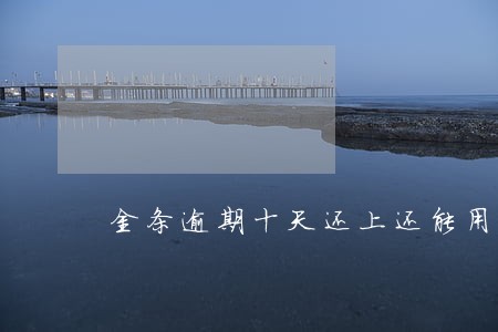 金条逾期十天还上还能用吗 金条逾期十天还上还能用吗