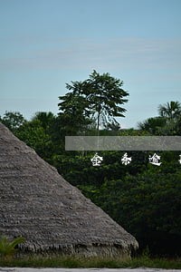 金条逾期十天还完还能借吗 金条逾期十天还完还能借吗