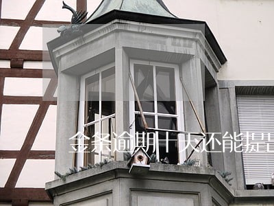 金条逾期十天还能提出来么 金条逾期十天还能提出来么