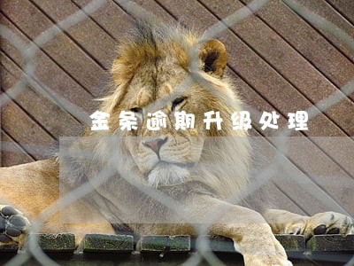 金条逾期升级处理 金条逾期升级处理