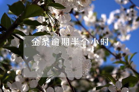 金条逾期半个小时 金条逾期半个小时