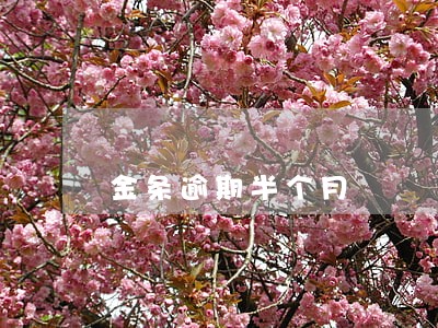金条逾期半个月 金条逾期半个月