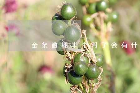 金条逾期半个月了会有什么后果 金条逾期半个月了会有什么后果