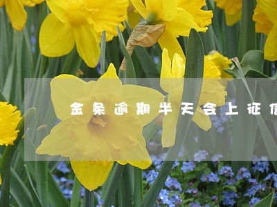 金条逾期半天会上征信吗怎么办 金条逾期半天会上征信吗怎么办