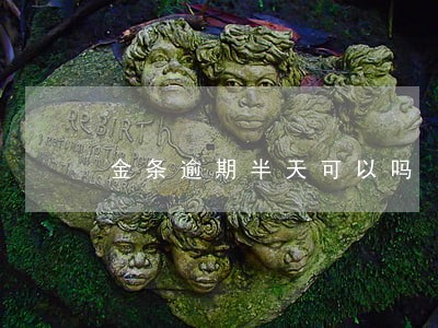 金条逾期半天可以吗 金条逾期半天可以吗