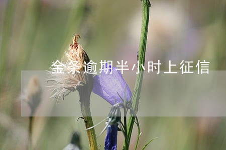 金条逾期半小时上征信 金条逾期半小时上征信