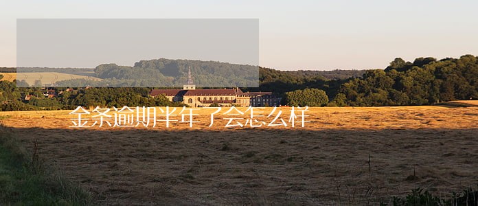 金条逾期半年了会怎么样 金条逾期半年了会怎么样