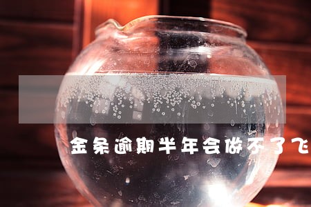 金条逾期半年会做不了飞机吗