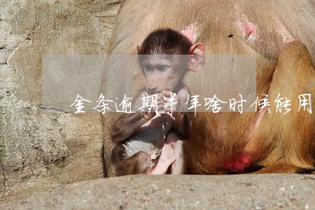 金条逾期半年啥时候能用 金条逾期半年啥时候能用
