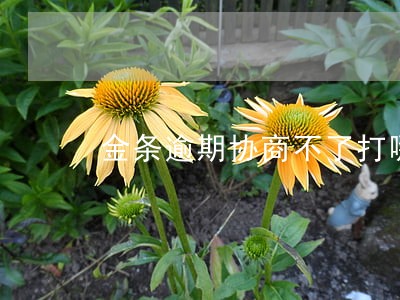 金条逾期协商不了打哪里投诉 金条逾期协商不了打哪里投诉