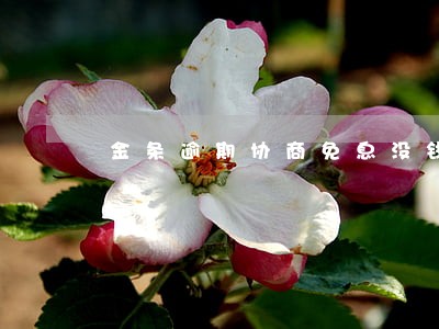 金条逾期协商免息没钱还怎么办 金条逾期协商免息没钱还怎么办