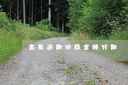 金条逾期协商全账分期 金条逾期协商全账分期