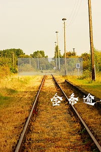 金条逾期协商分期不行 金条逾期协商分期不行