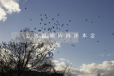 金条逾期协商还本金