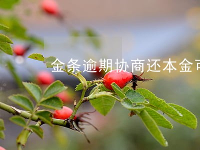 金条逾期协商还本金可以吗 金条逾期协商还本金可以吗