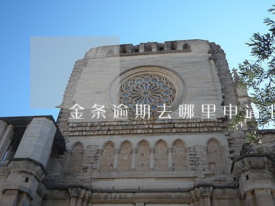 金条逾期去哪里申请非恶意逾期 金条逾期去哪里申请非恶意逾期