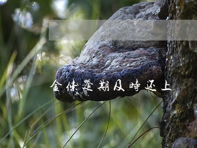 金条逾期及时还上 金条逾期及时还上